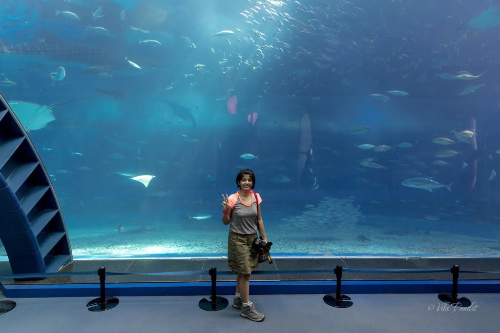 Churaumi Aquarium