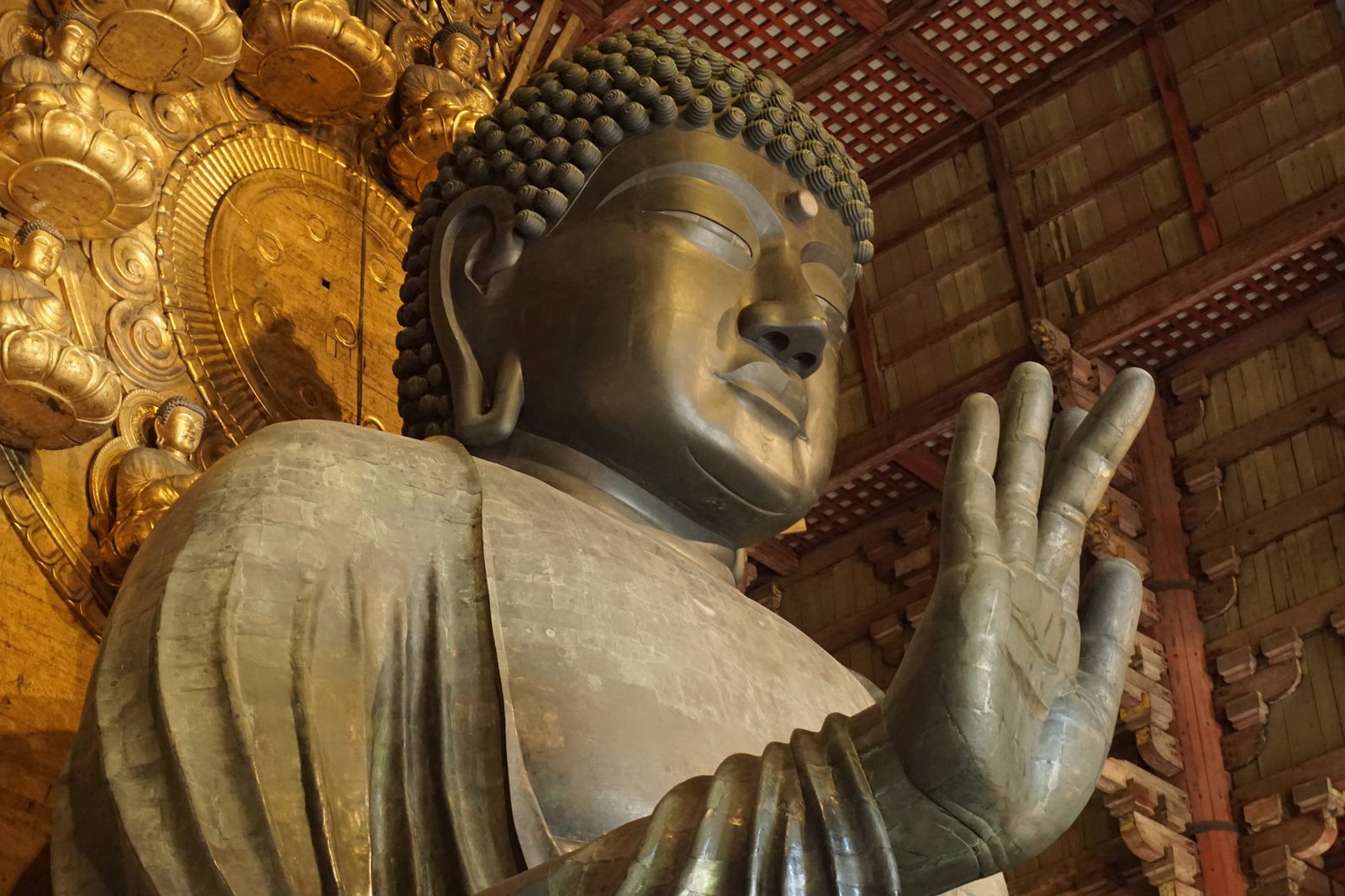 Coming back to Nara