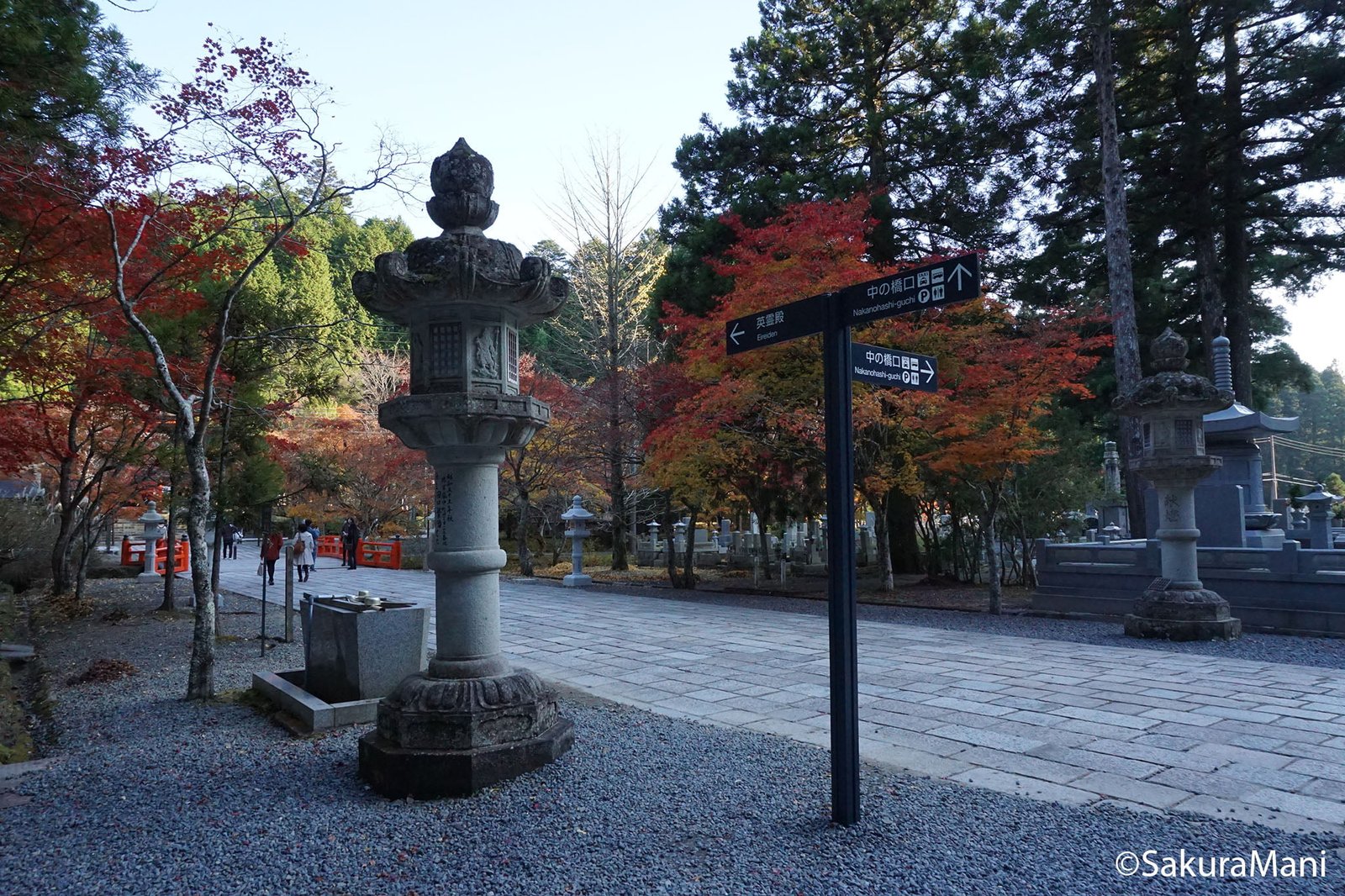 A walk among the tombstones in Koyasan