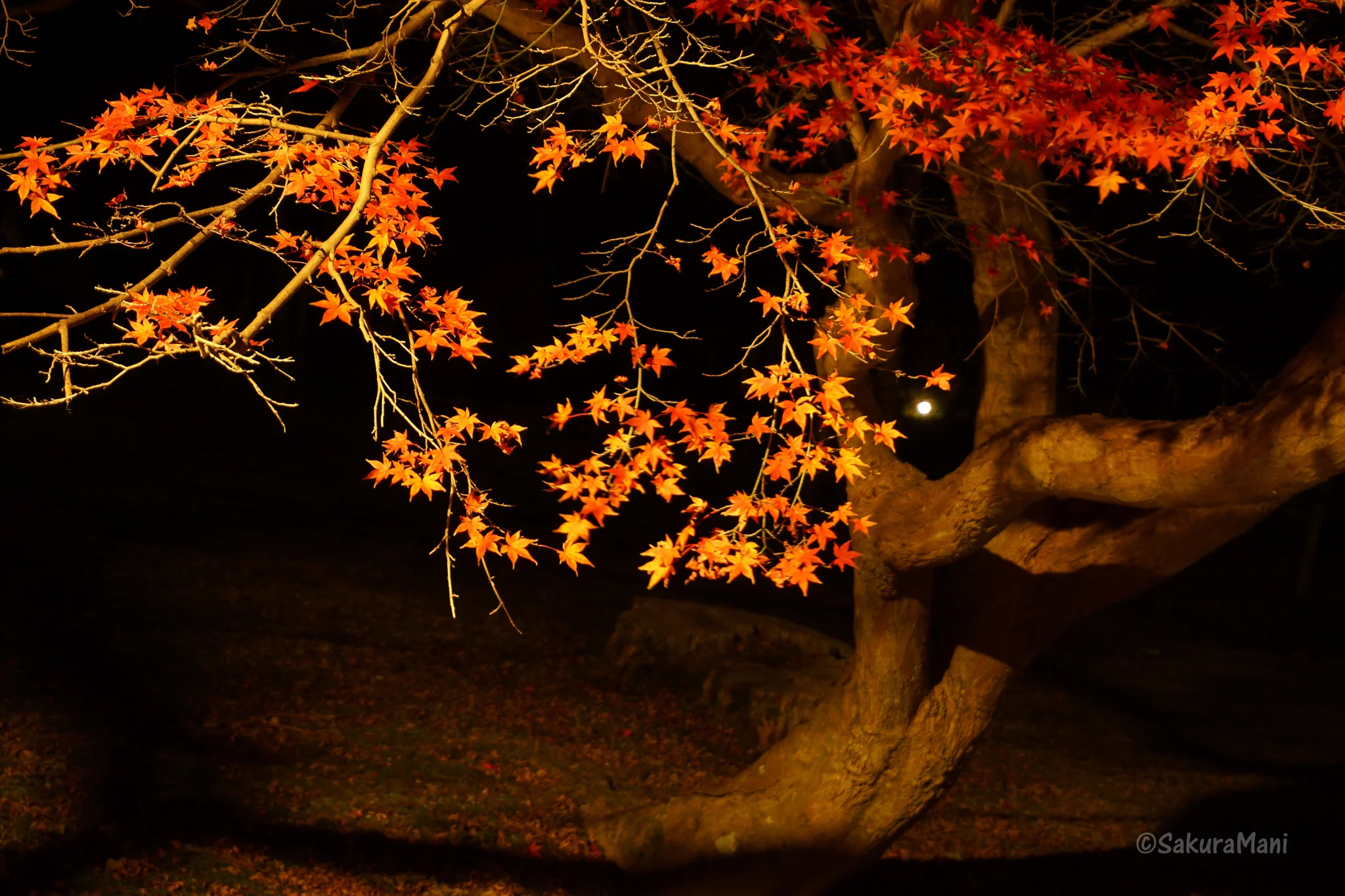 An imagination painted by nature