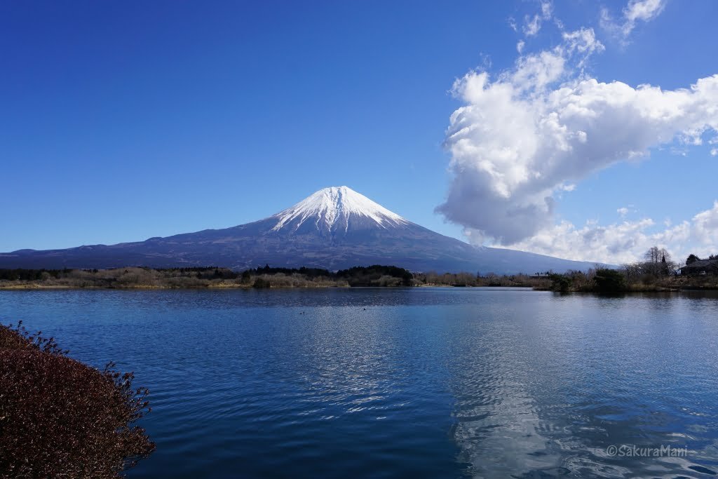 fuji