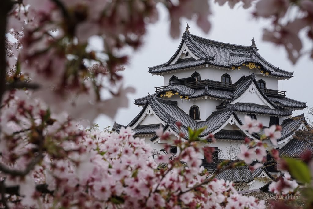 hikone_castle