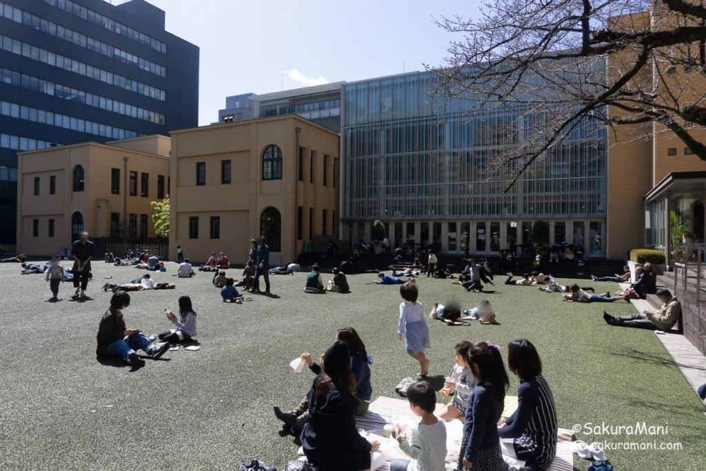 Kyoto Museum Outdoor Lawn