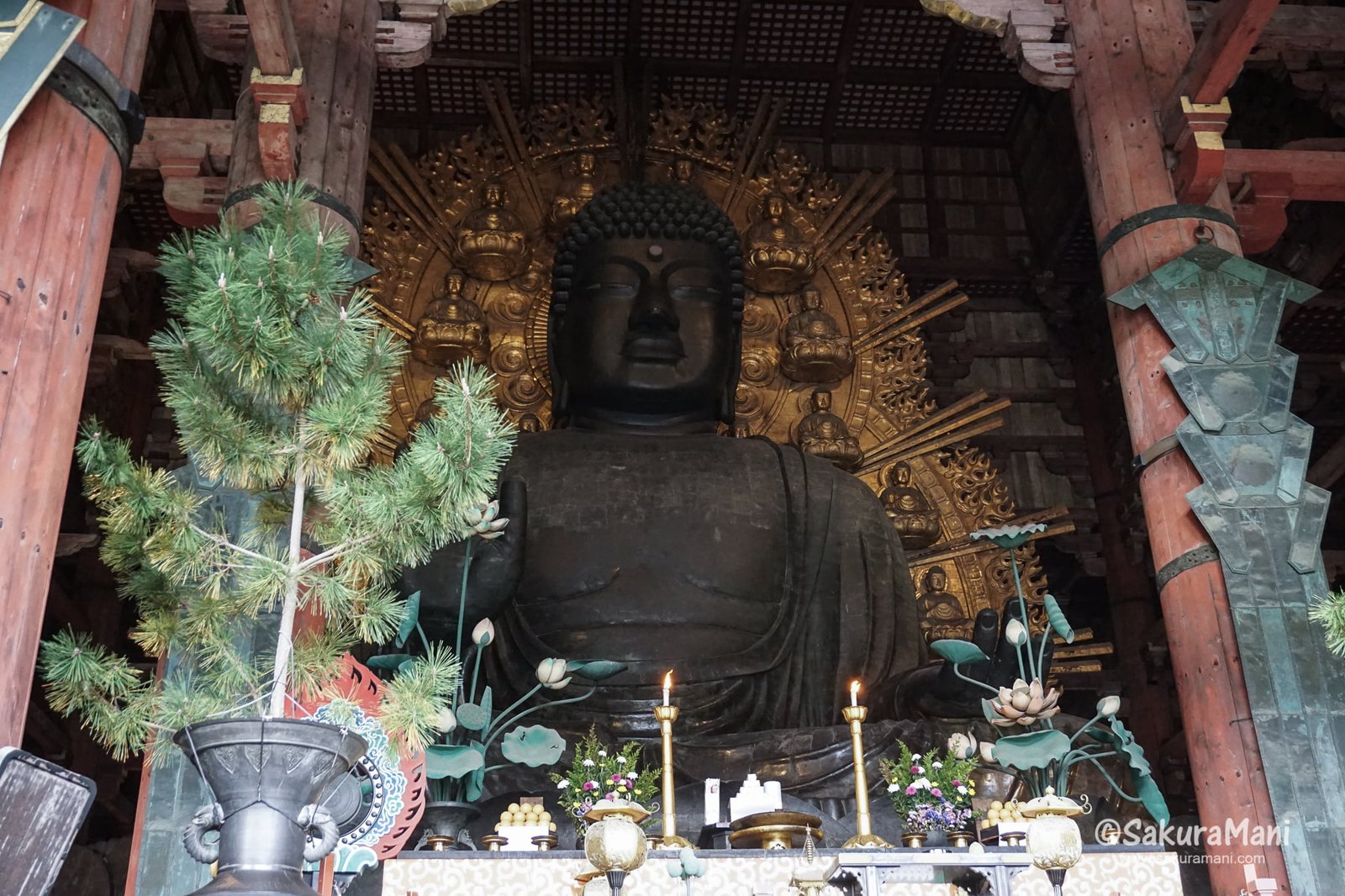 Finding India in Japan