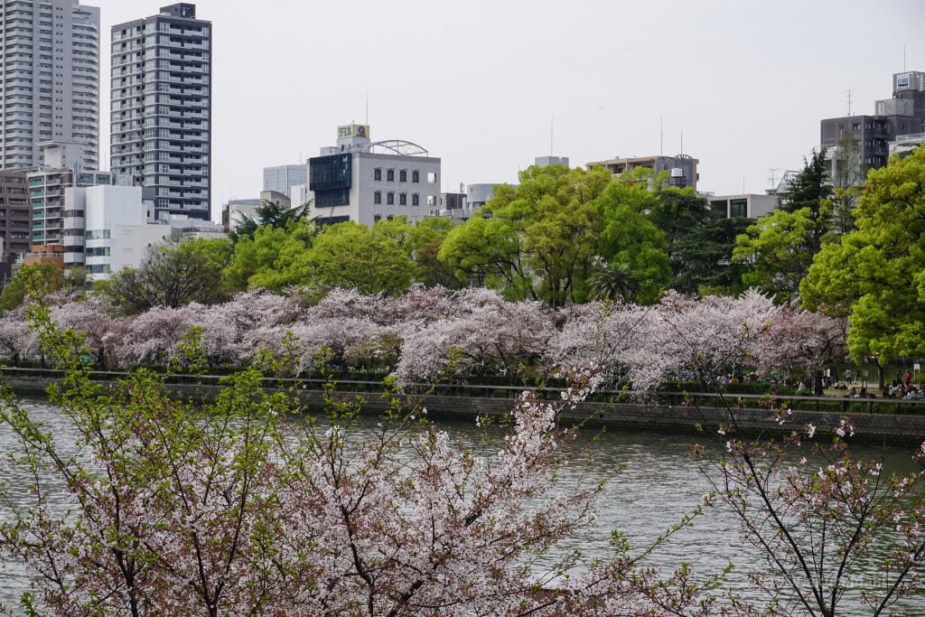 osaka_mint