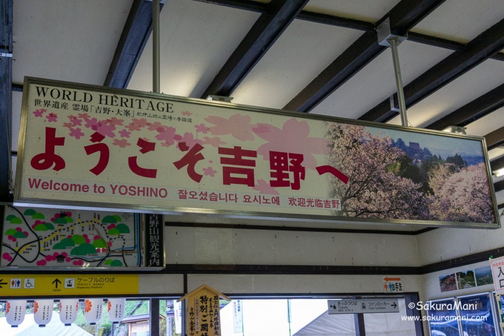 A Solo Hike To Mount Yoshino Sakuramani