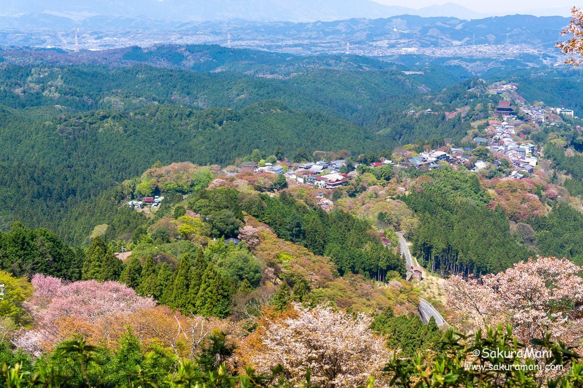 A solo hike to Mount Yoshino
